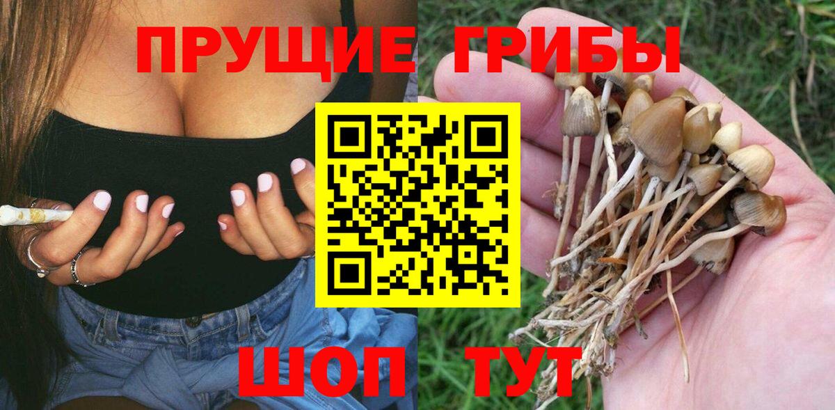 Псилоцибиновые грибы мицелий  Галлюциногенные грибы мицелий  Вход с VPN  Пыть-Ях 
