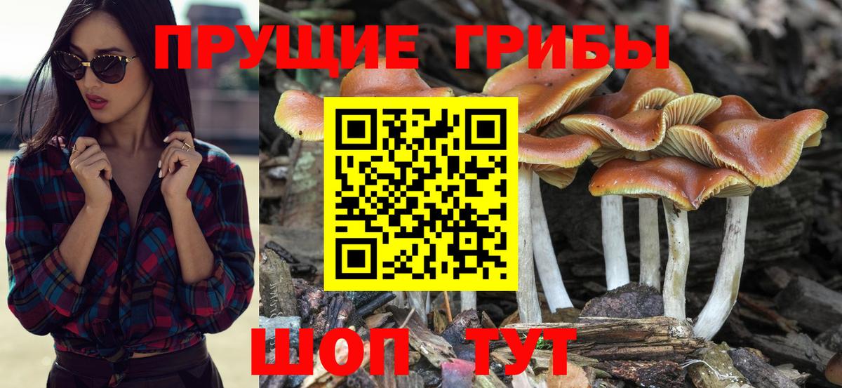 Псилоцибиновые грибы прущие грибы Пыть-Ях